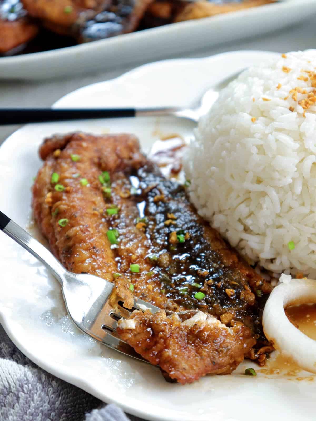 milkfish cooked a la pobre on a white plate with steamed rice
