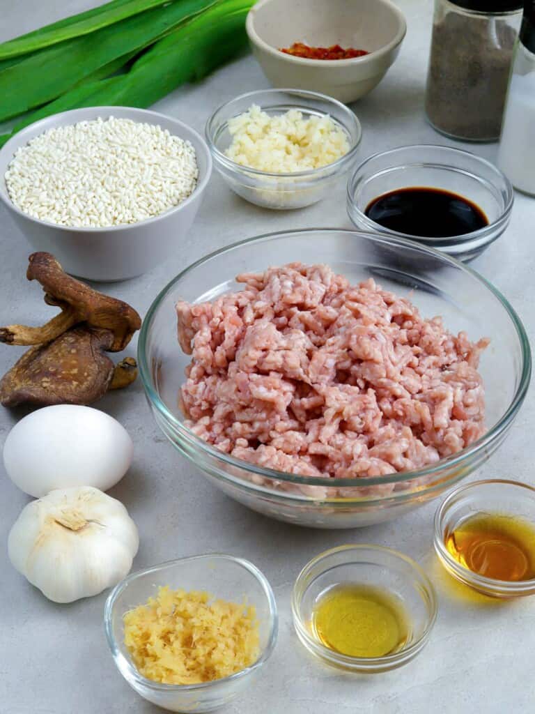 glutinous rice, ground pork, shitake mushrooms, soy sauce, onions, garlic
