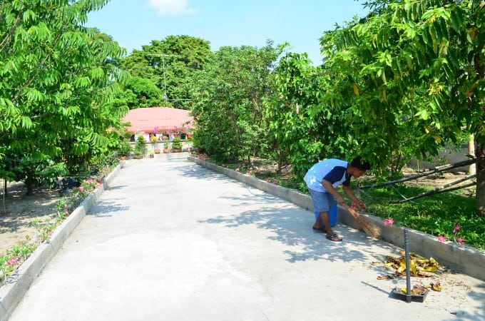 Backyard in Tarlac