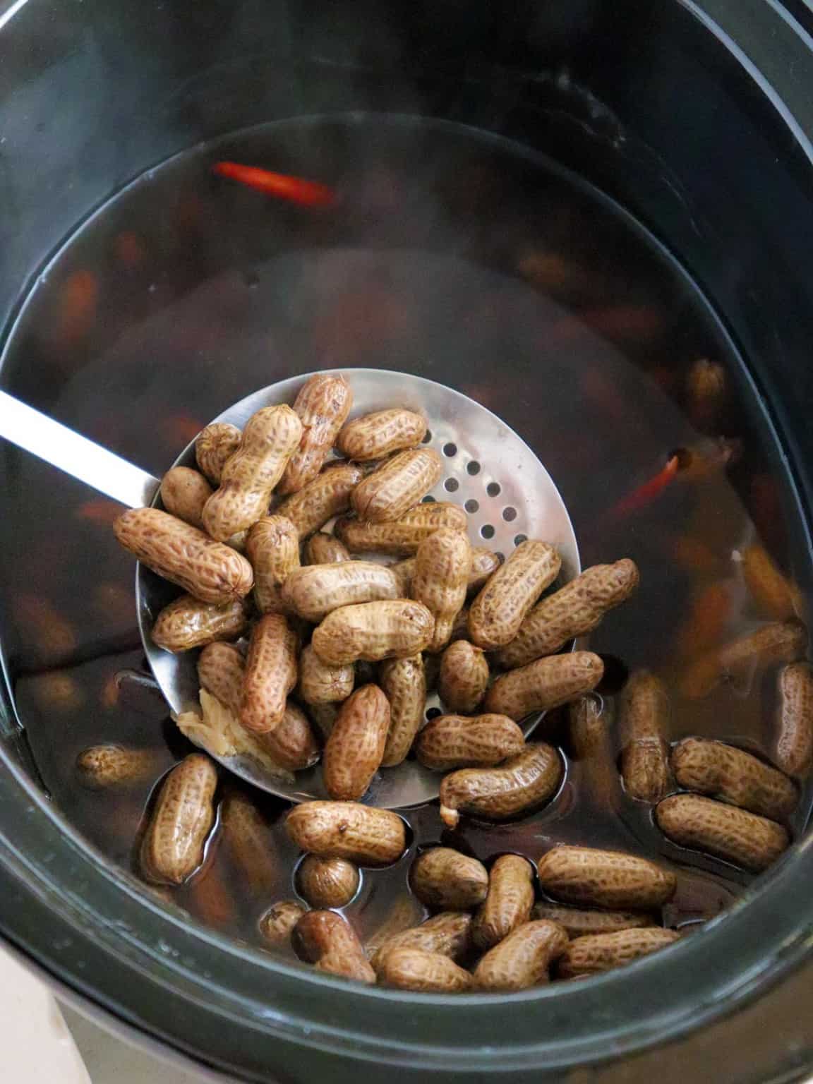 Slow Cooker Chinese Boiled Peanuts Kawaling Pinoy