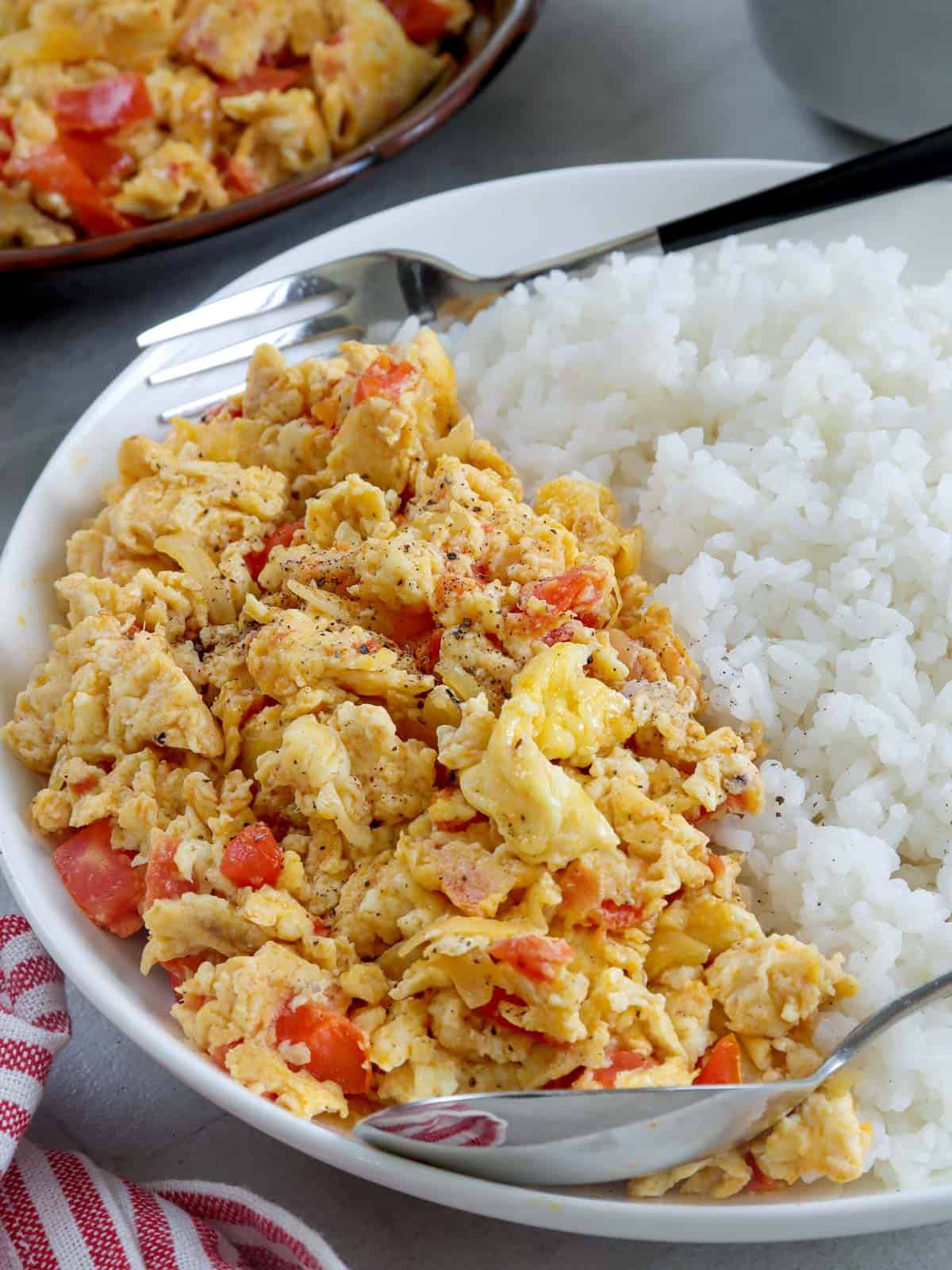 scrambled eggs with tomatoes and onions on a white serving plate with steamed rice