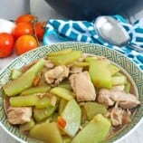 chayote stew with chicken in a serving bowl