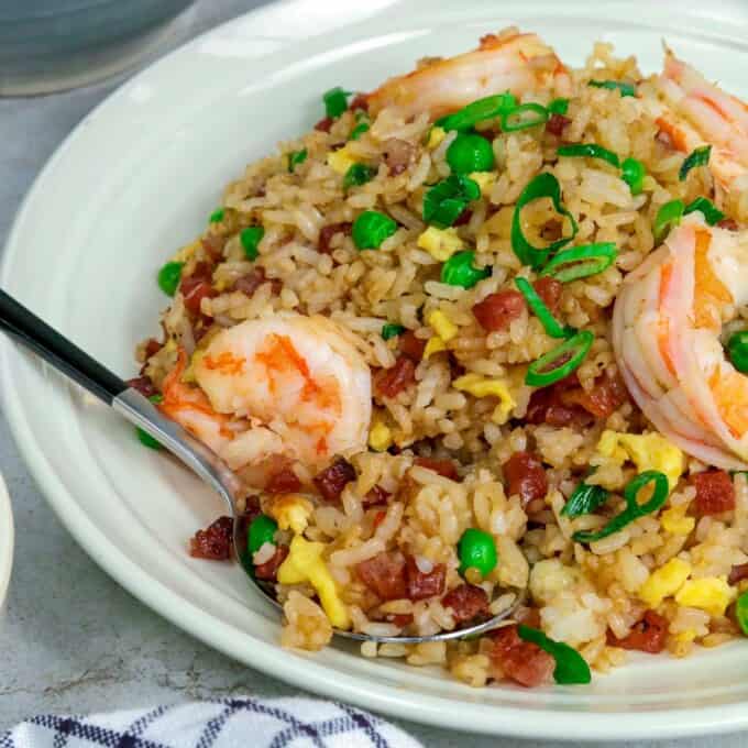 yang chow fried rice on a white plate