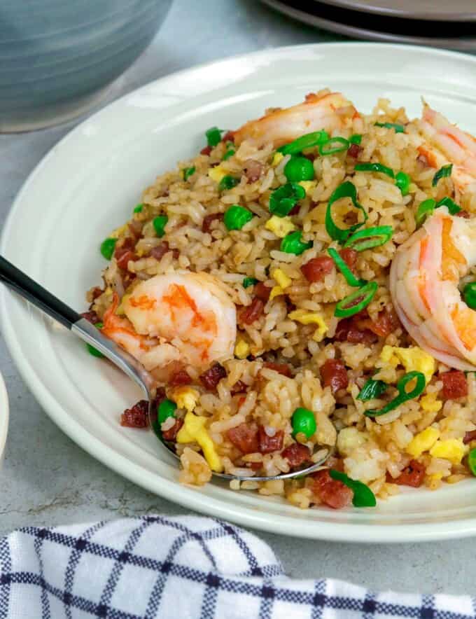 yang chow fried rice on a white plate