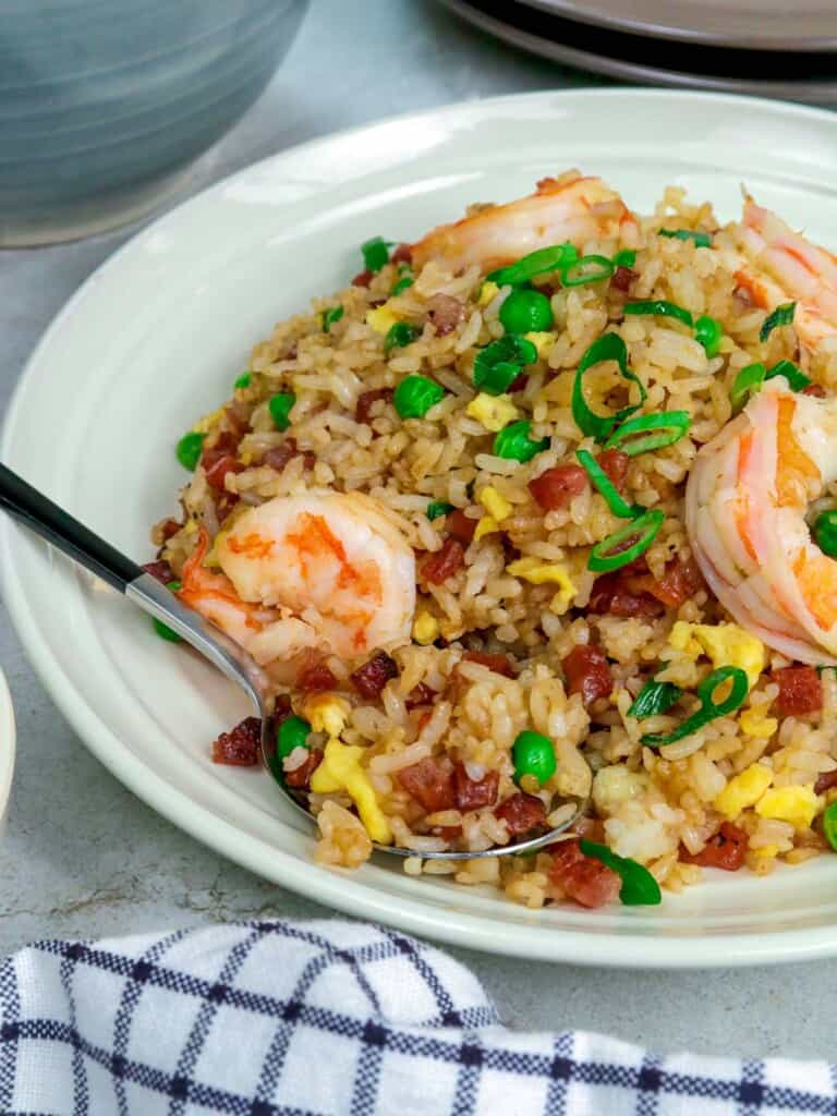 yang chow fried rice on a white plate