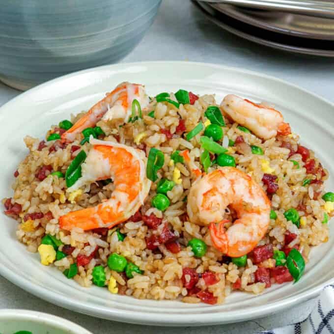 yangzhou fried rice in a white bowl