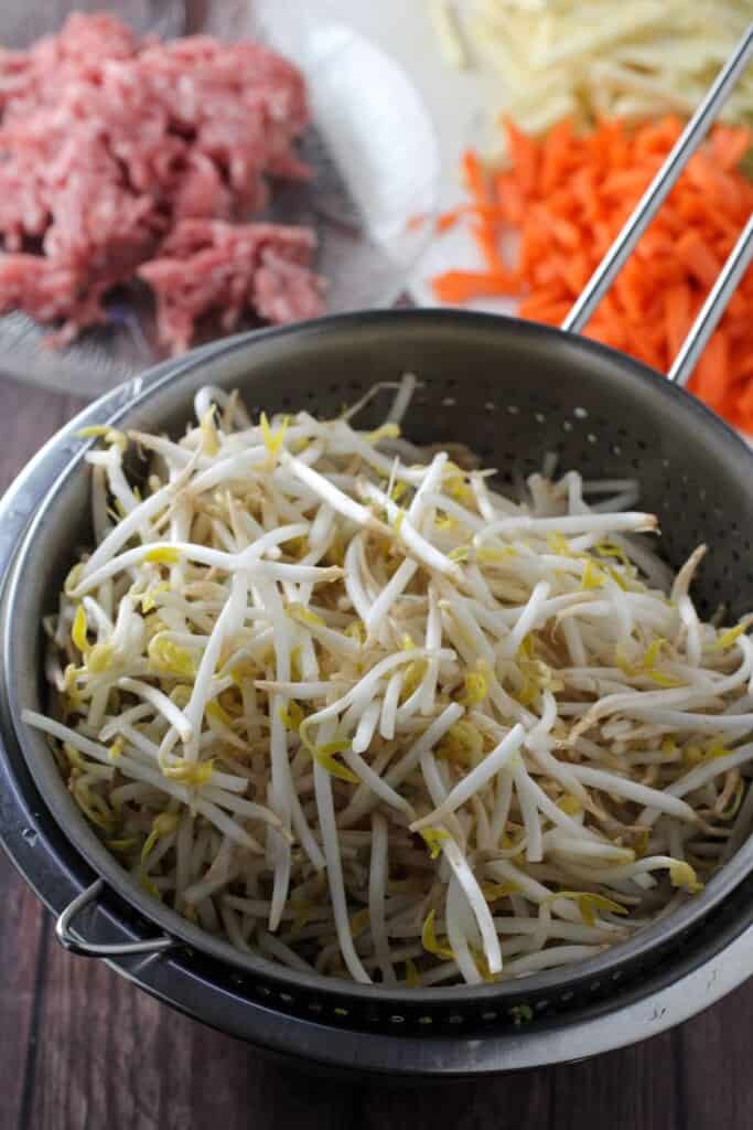bean sprouts, ground pork, julienned carrots