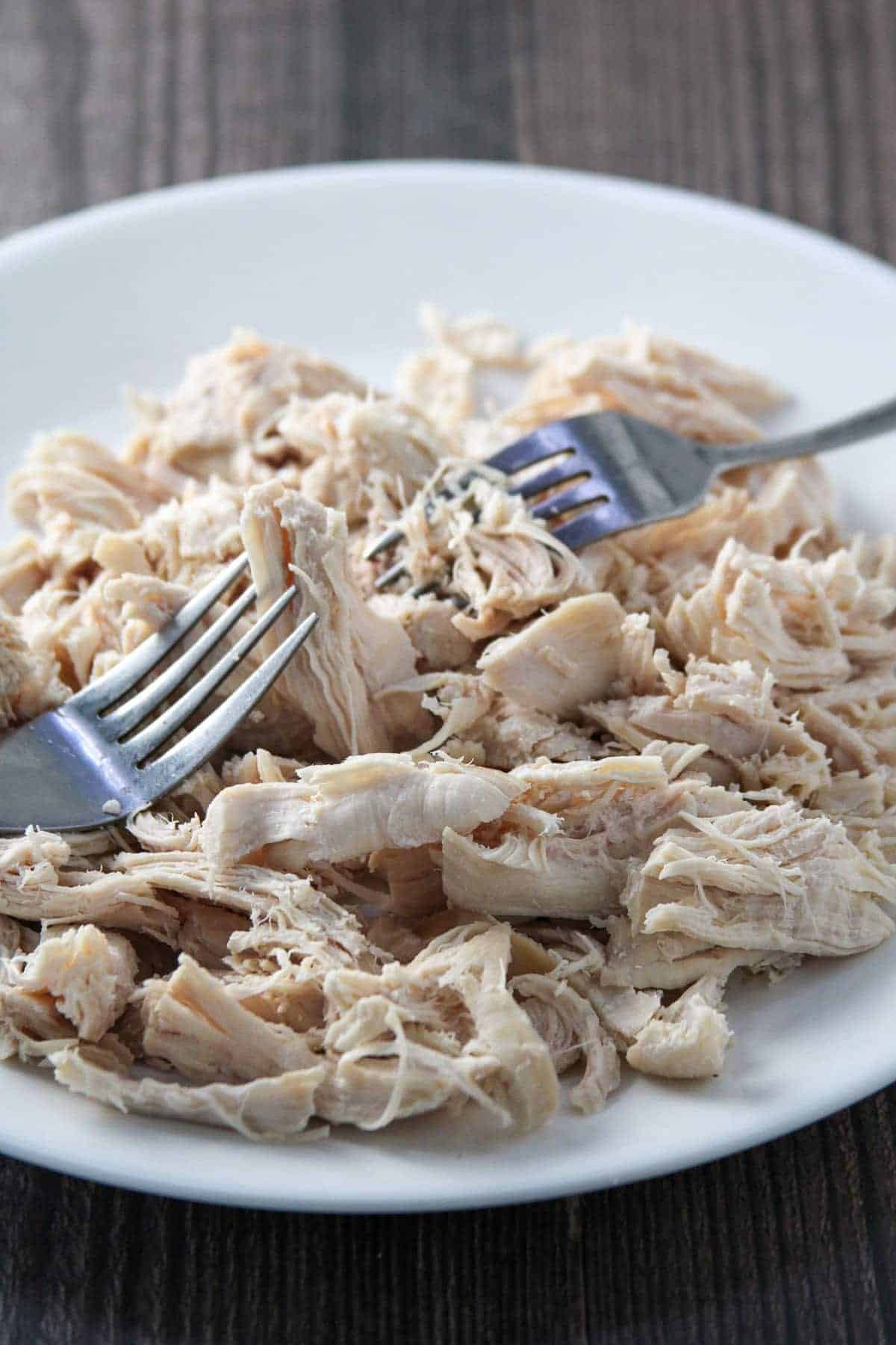 shredding poached chicken breast with two forks on a white plate