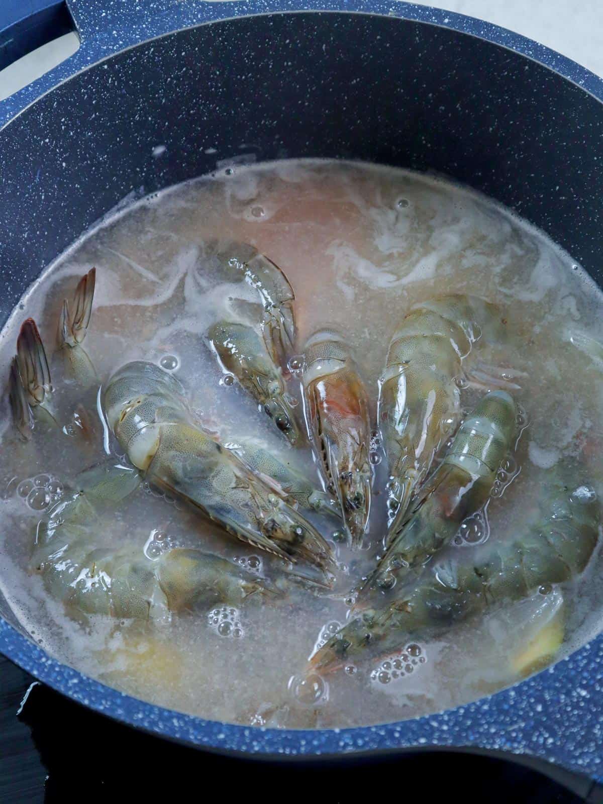 shrimp in a pot with water