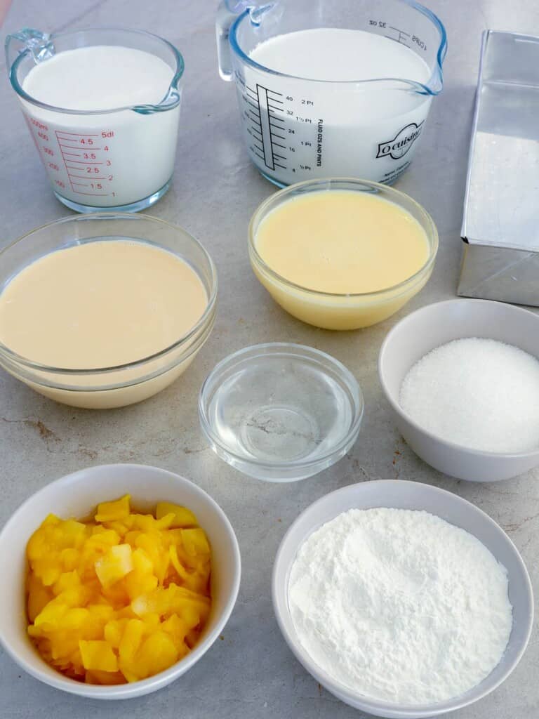 ingredients for coconut pudding with jackfruit