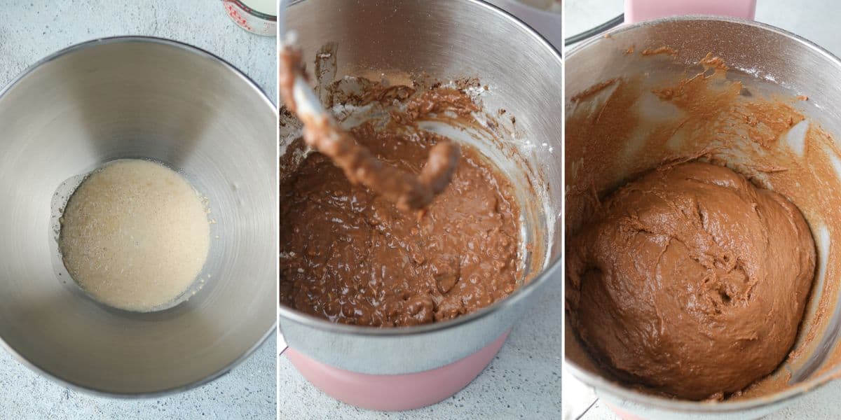 proofing the yeast and making chocolate pandesal dough in stand up mixer.