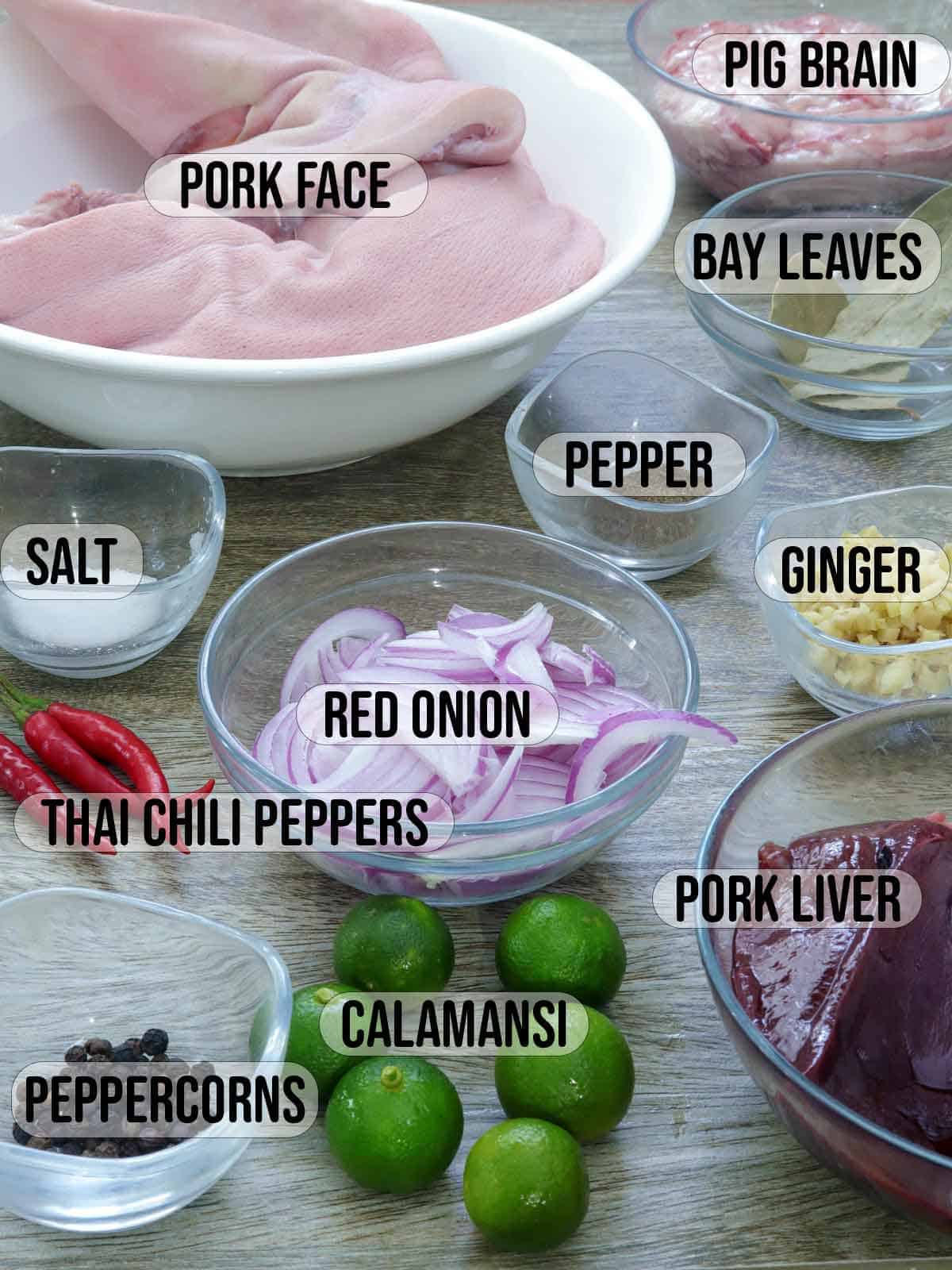 pig face, pig brain, liver, onions, garlic, ginger, calamansi, chili peppers in bowls.