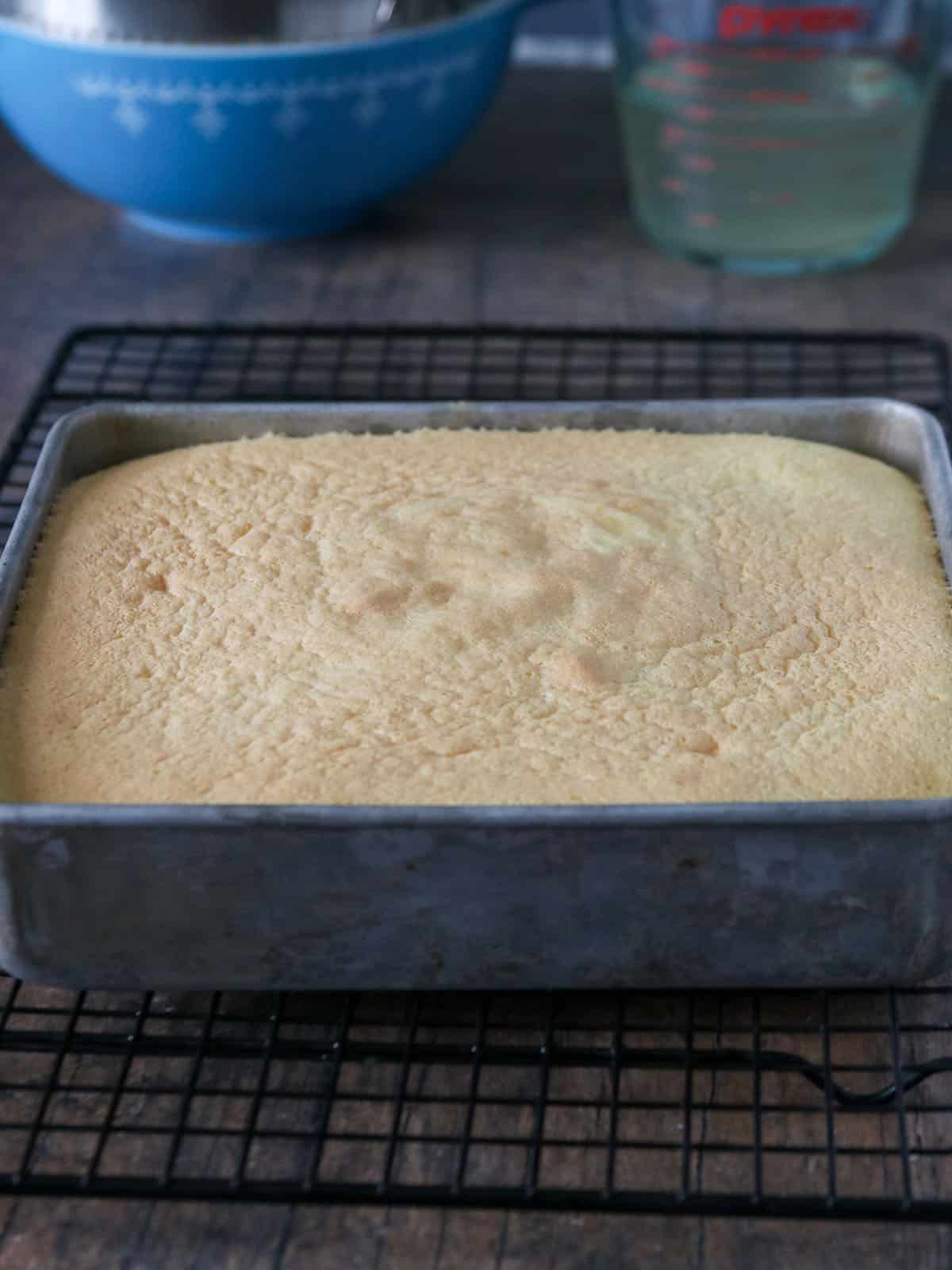 Crema de Fruta baked in an aluminum pan